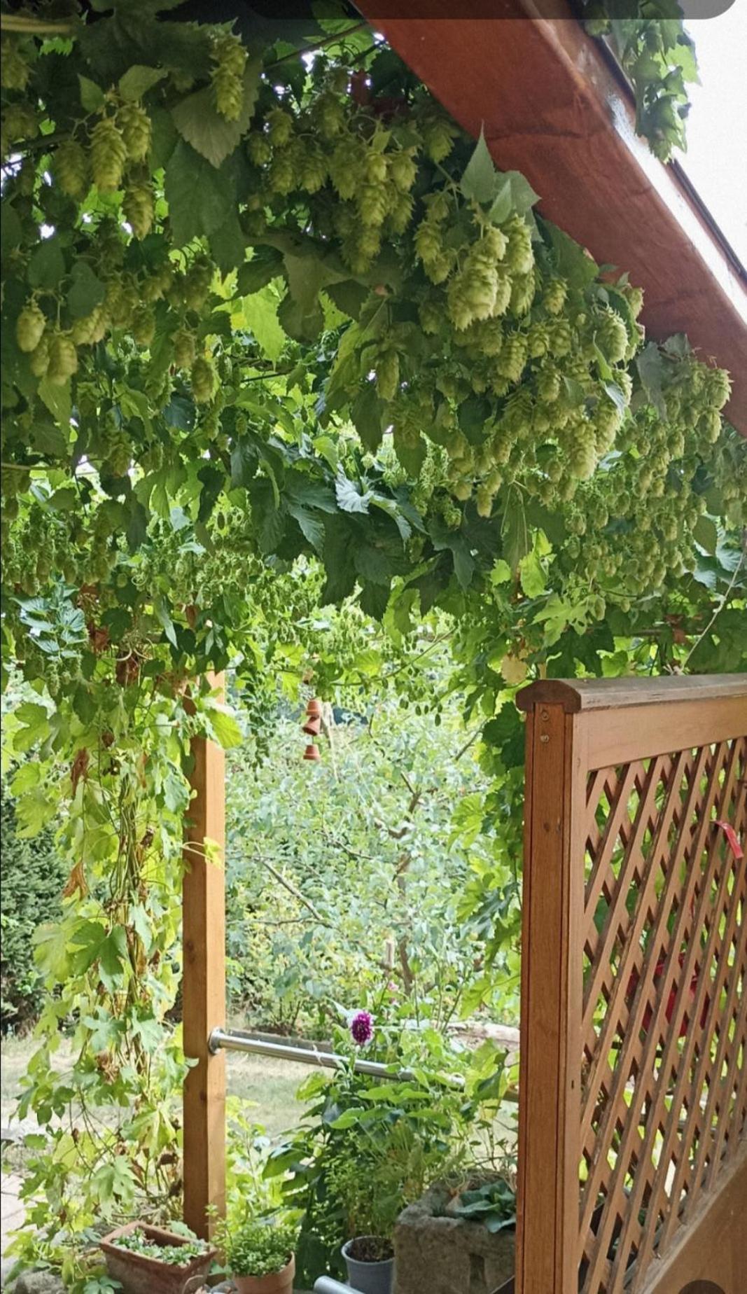 Apartment Mit Gartenblick Eckersdorf Eksteriør billede